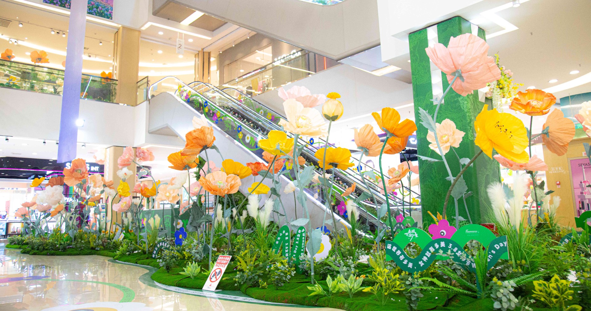 ���ݿ����ó��������