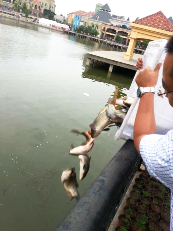 DG��Ѷ��(�й���)�ٷ���վ