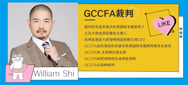 DG��Ѷ��(�й���)�ٷ���վ