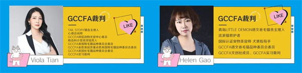 DG��Ѷ��(�й���)�ٷ���վ