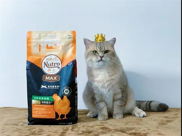 DG��Ѷ��(�й���)�ٷ���վ