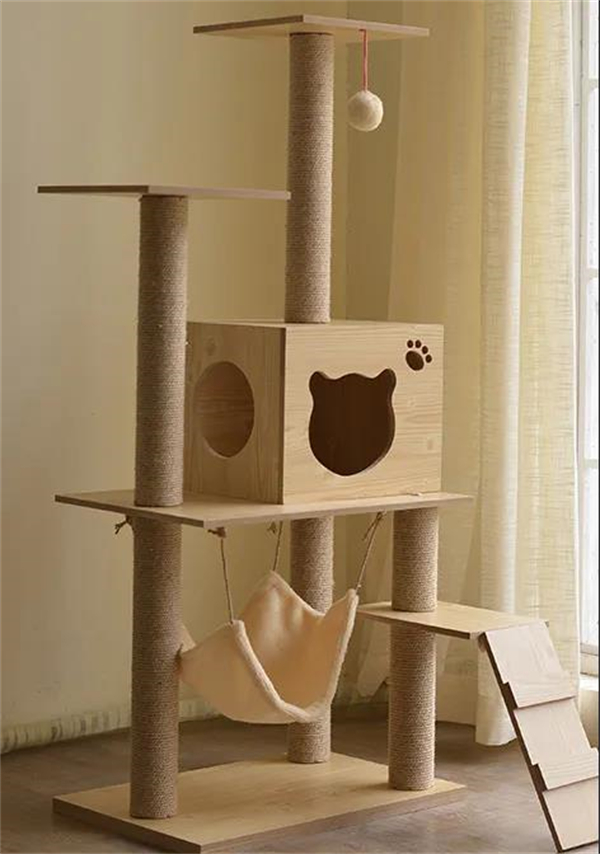 DG��Ѷ��(�й���)�ٷ���վ