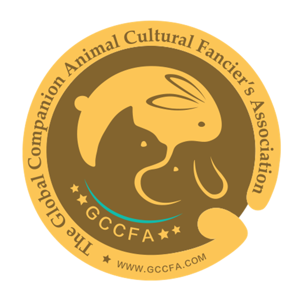 DG��Ѷ��(�й���)�ٷ���վ