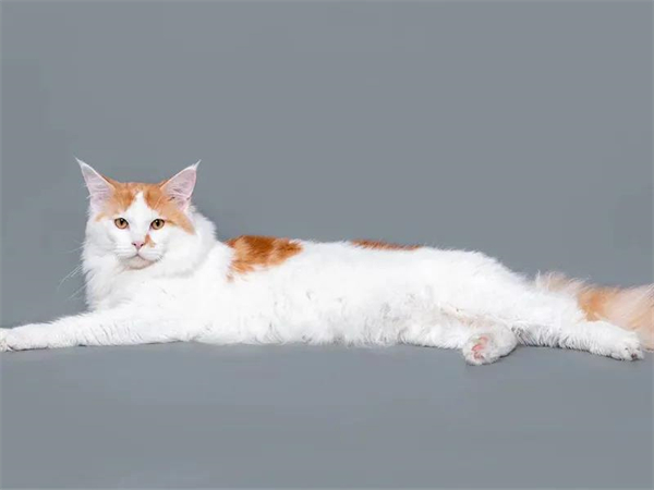 DG��Ѷ��(�й���)�ٷ���վ