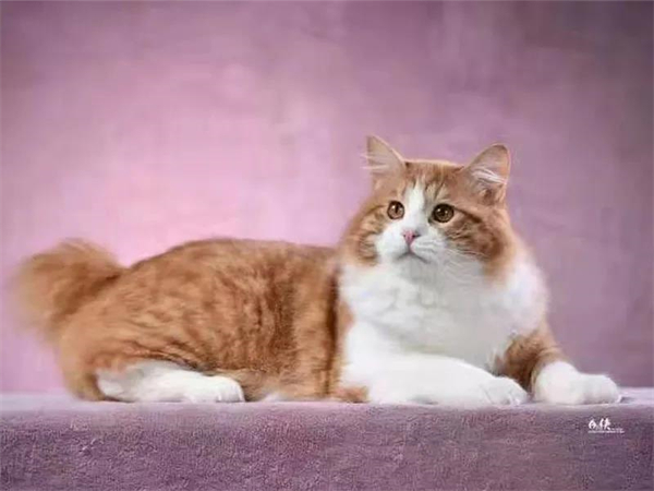 DG��Ѷ��(�й���)�ٷ���վ