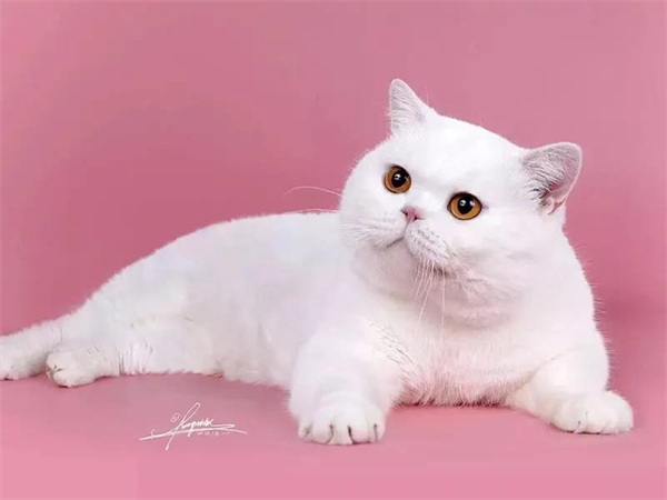 DG��Ѷ��(�й���)�ٷ���վ