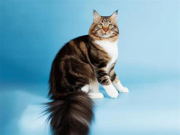 DG��Ѷ��(�й���)�ٷ���վ