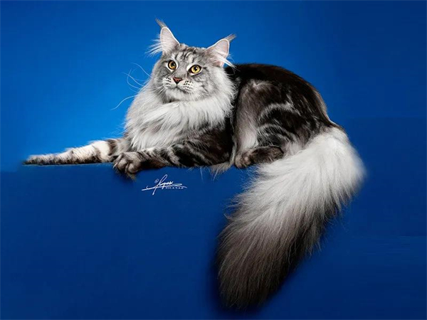 DG��Ѷ��(�й���)�ٷ���վ