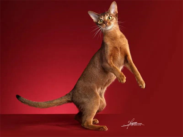 DG��Ѷ��(�й���)�ٷ���վ