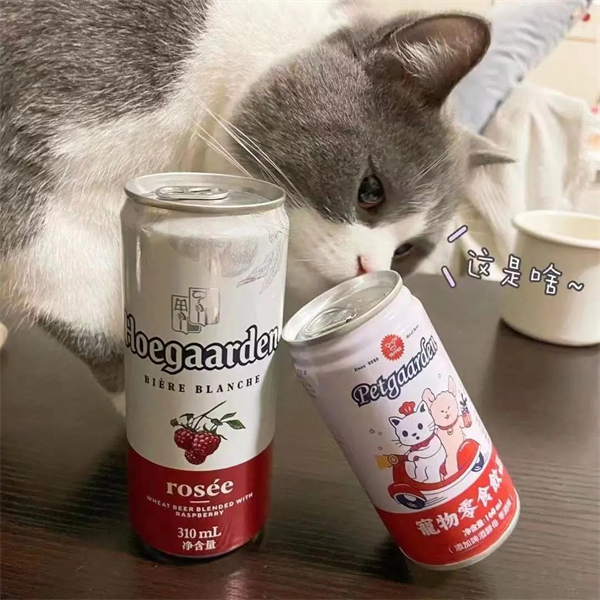 DG��Ѷ��(�й���)�ٷ���վ