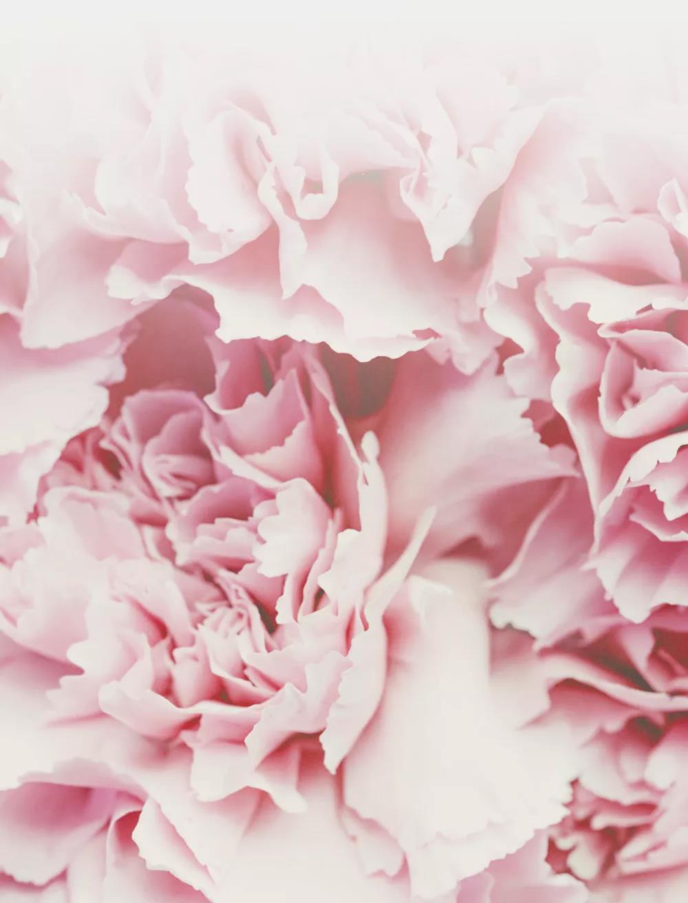 DG��Ѷ��(�й���)�ٷ���վ