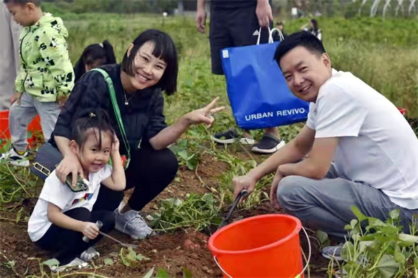 DG��Ѷ��(�й���)�ٷ���վ