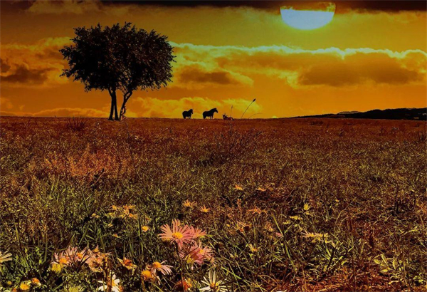 DG��Ѷ��(�й���)�ٷ���վ