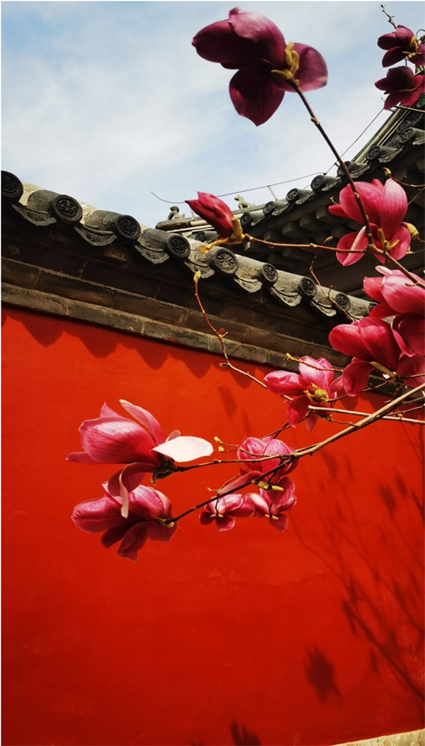 DG��Ѷ��(�й���)�ٷ���վ