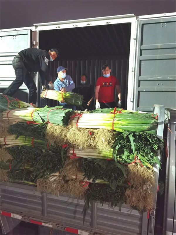 DG��Ѷ��(�й���)�ٷ���վ