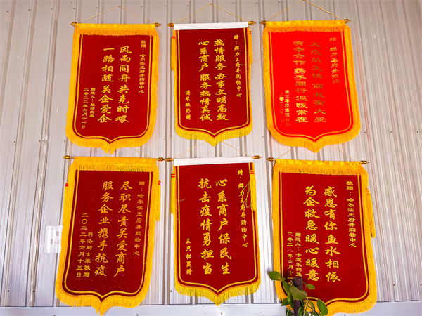 DG��Ѷ��(�й���)�ٷ���վ