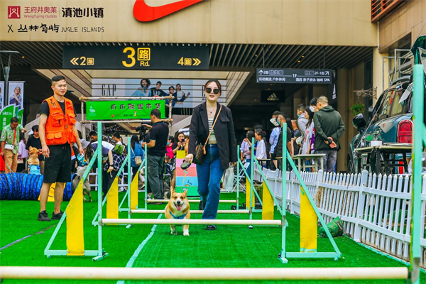 DG��Ѷ��(�й���)�ٷ���վ