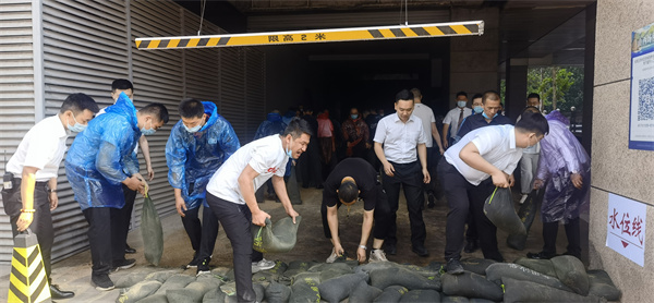 DG��Ѷ��(�й���)�ٷ���վ