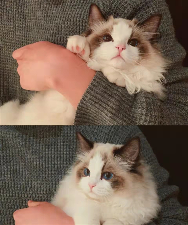 DG��Ѷ��(�й���)�ٷ���վ