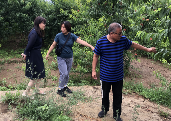 DG��Ѷ��(�й���)�ٷ���վ