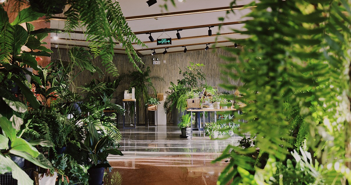 DG��Ѷ��(�й���)�ٷ���վ���������С��