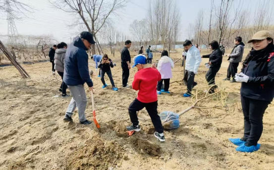 1774580036838053749.png image.png