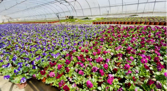 1774580112314023146.png image.png